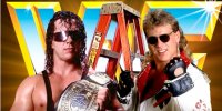 Bret-Hart-Shawn-Michaels-Ladder-Match.jpg