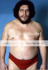 AndreTheGiant.png