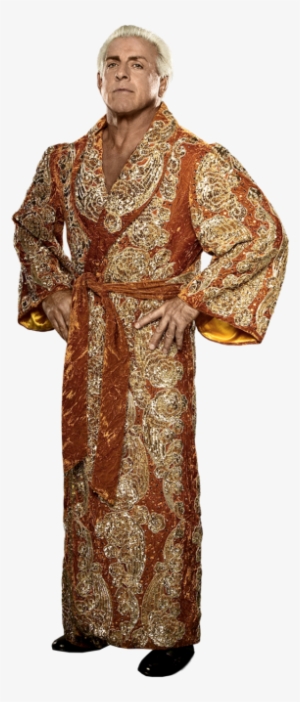 111-1116430_ric-flair-ric-flair-cut-out.jpg