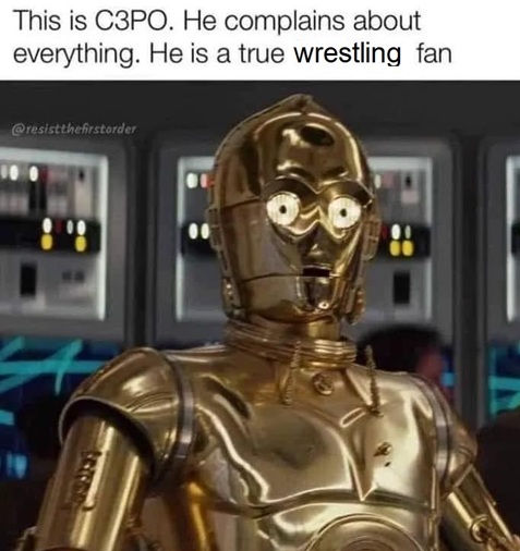 1735619522162.jpeg