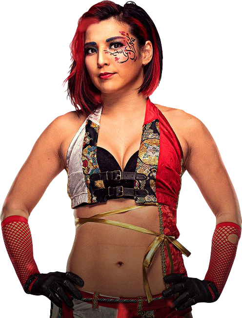 2819_Hikaru_Shida_cut_by_L3wap.png