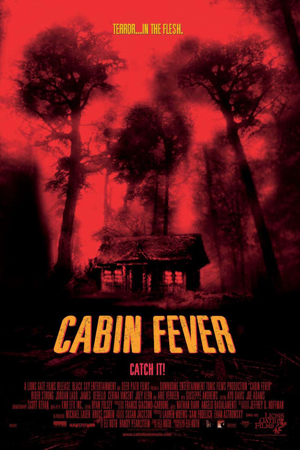 Cabin-Fever-5908c29e3df78c92834e4952.jpg