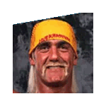 Hulk Hogan.gif