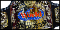 NWA World Tag Team_alt.jpg
