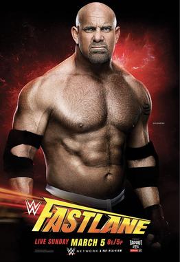 Official_WWE_Fastlane_2017_poster.jpg