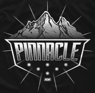 The_Pinnacle_logo.jpg
