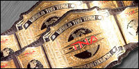 TNA World Tag Team.jpg