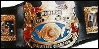 WCW Womens.jpg