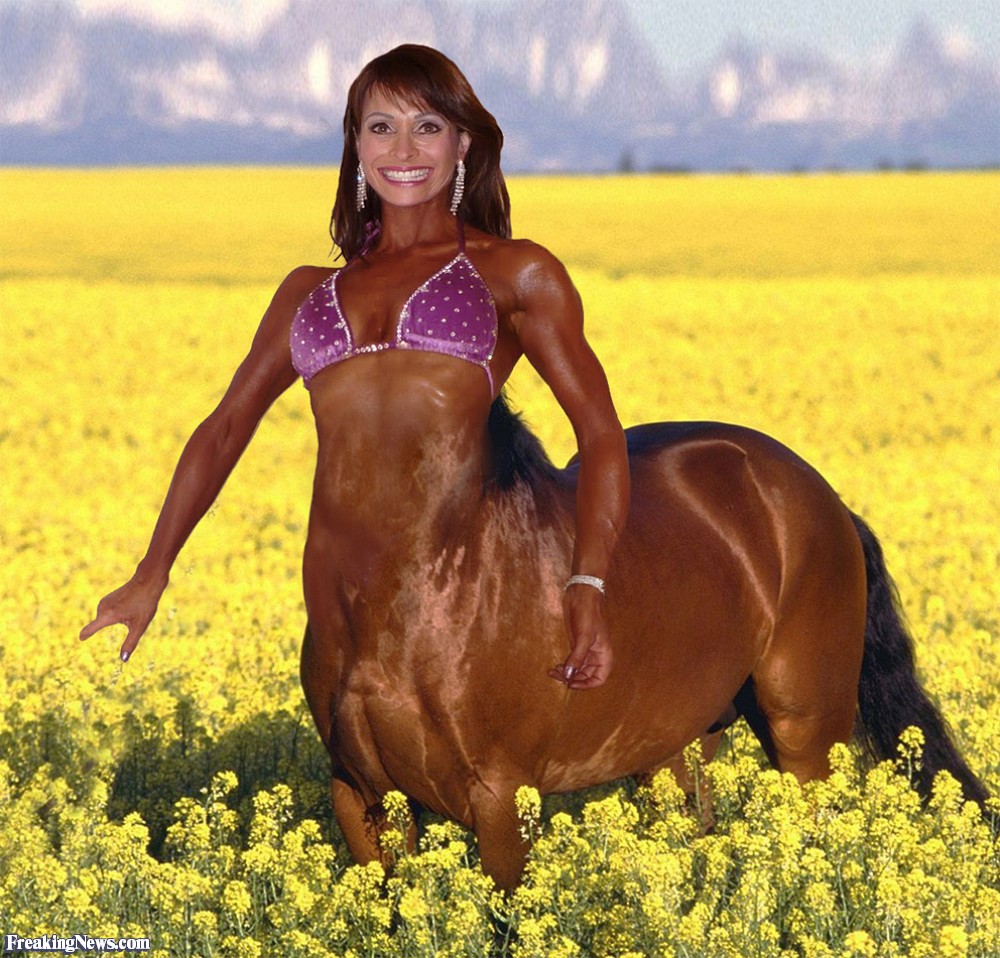 Woman-Centaur-113983.jpg