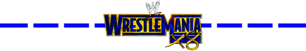 WrestleMania 18 Line Break.png