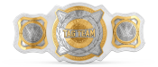 WWE Women's Tag Team Championship.png