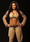 78a2f709f8c3701053eb641fd356f790--melina-perez-divas-wwe.jpg