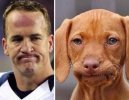 peytonanddog.jpg