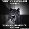 you-dont-stop-wrestling-when-youre-tired-you-stop-wrestling-when-the-bears-tired.jpg