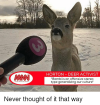 nann-meme-news-network-horton-deer-activist-bambi-is-an-20439762.png