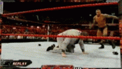 Randy Orton punts McMahon.gif