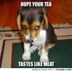 frabz-Hope-your-tea-Tastes-like-meat-04472d_large.jpg