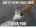 say-it-to-my-face-bro-deer-you-via-9gag-com-14320477.png