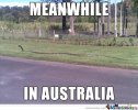 Meanwhile-In-Australia_o_130385.jpg