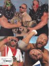 Pictorial History of Wrestling, back.jpg