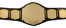 vicious_gold_blank_heavy_award_custom_title_belt_proambelts.png
