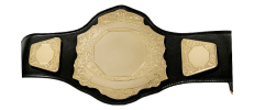 amateur_blank_gold_custom_tilte_award_wrestling_belt_engraved_proambelts.png