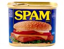 spam.jpg