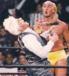 Hogan Ric Flair.png