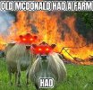 old-macdonald.jpg