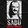 sabu1013.png