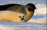 IMG_5325.jpeg