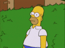IMG_3708.gif