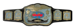 wwf tag titles.png
