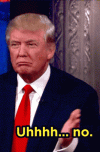 IMG_0965.gif