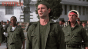 IMG_4055.gif