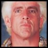 Ric Flair 95.jpg