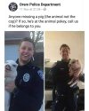 1000004138.jpg