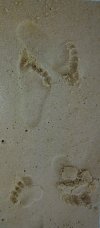 20250819_205859.jpg