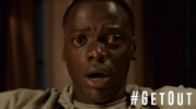 IMG_4534.gif