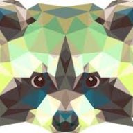 aRowdyRaccoon