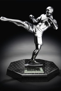 fo-world-mma-awards-2009-trophy_large_large.jpg