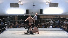 8.gif