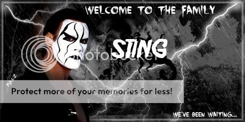 Sting3.jpg