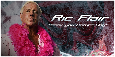 RicFlairV2.png