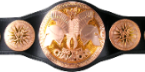 render_tag_team_championship.png