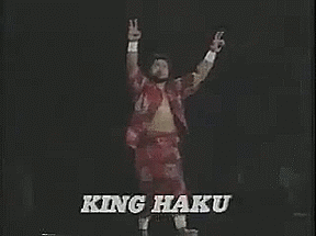 tumblr_n17ecpoKsI1t1054no1_400.gif