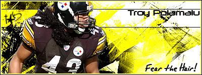 polamalu-1.jpg