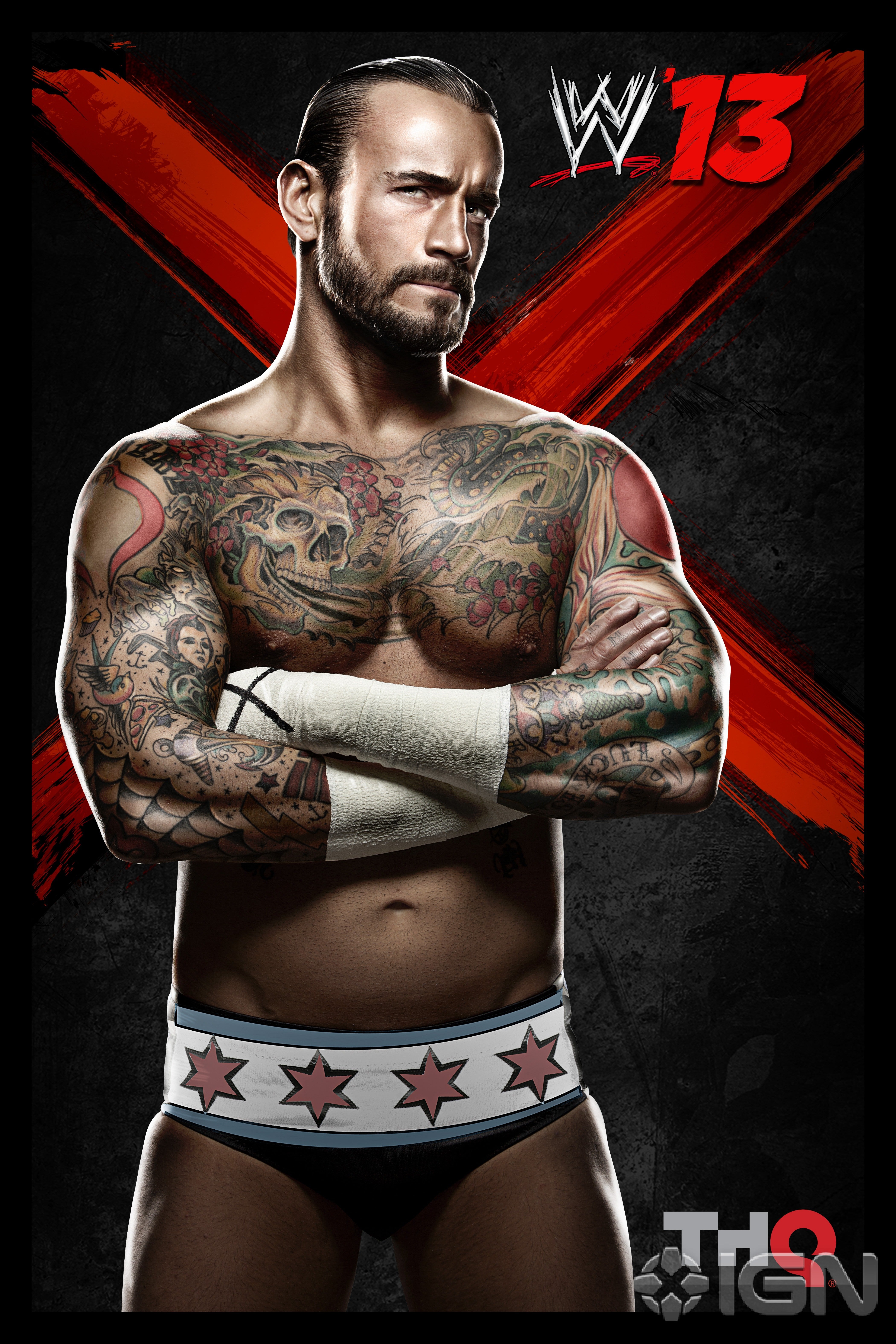 wwe13-cm-punk-artjpg-3a2e69.jpg