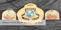 WCW_Tag-Team.jpg