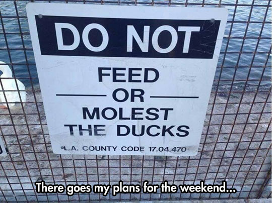 funny-picture-sign-feed-molest-ducks-pond.jpg